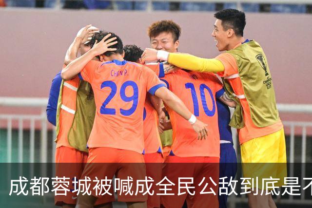 成都蓉城被喊成全民公敌到底是不是真的，看完五月申花主场那场六万多人看球就知道答案