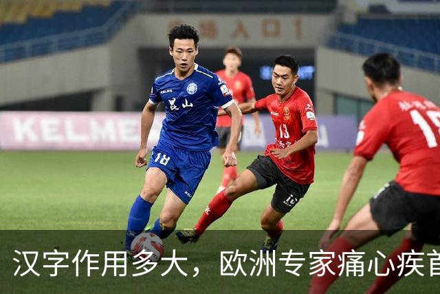 汉字作用多大，欧洲专家痛心疾首：若有汉字，欧洲或早已统一