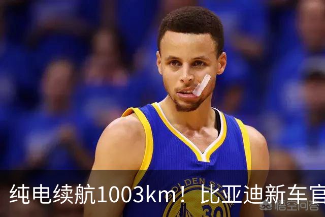 纯电续航1003km！比亚迪新车官宣，10月26日开启小订
